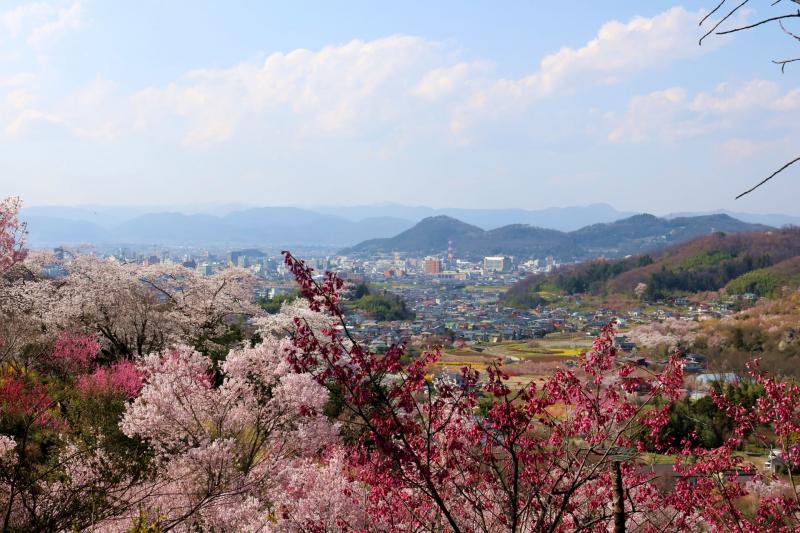 花見山から福島市街を臨む